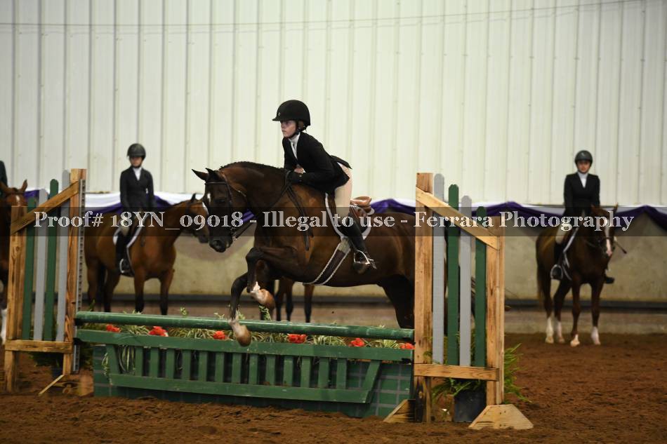 Proof 18YN_09018