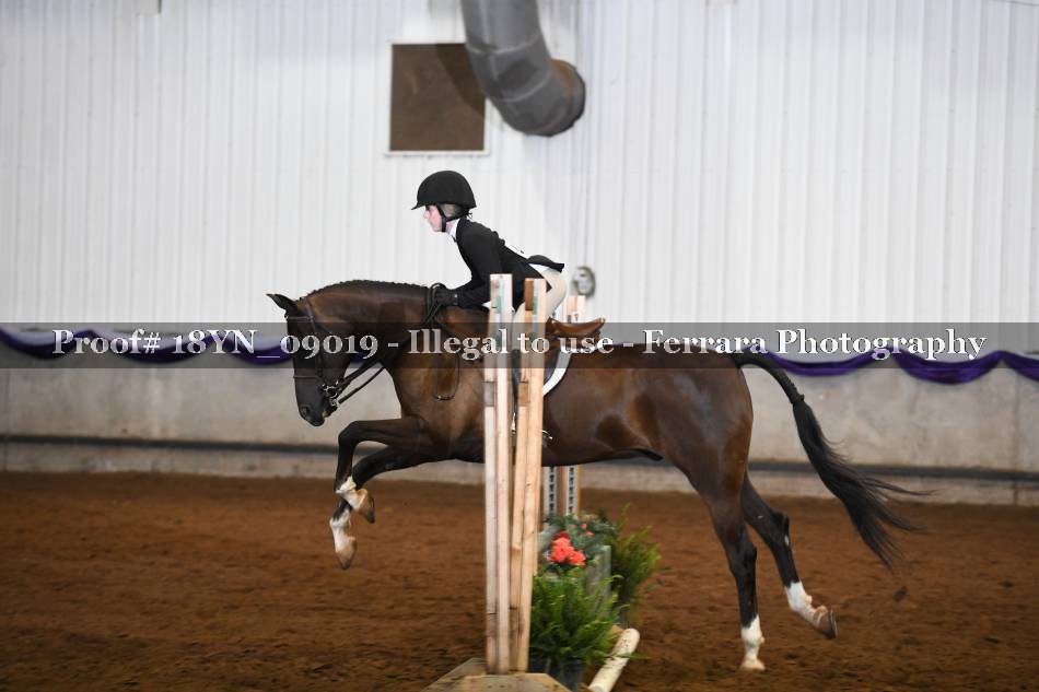 Proof 18YN_09019