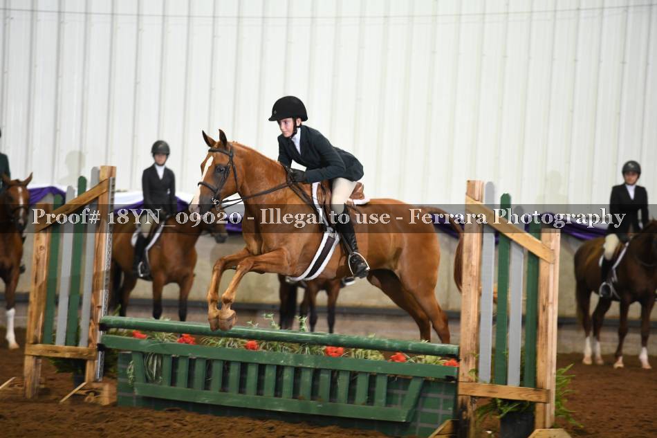 Proof 18YN_09020