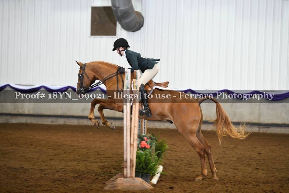 Proof 18YN_09021