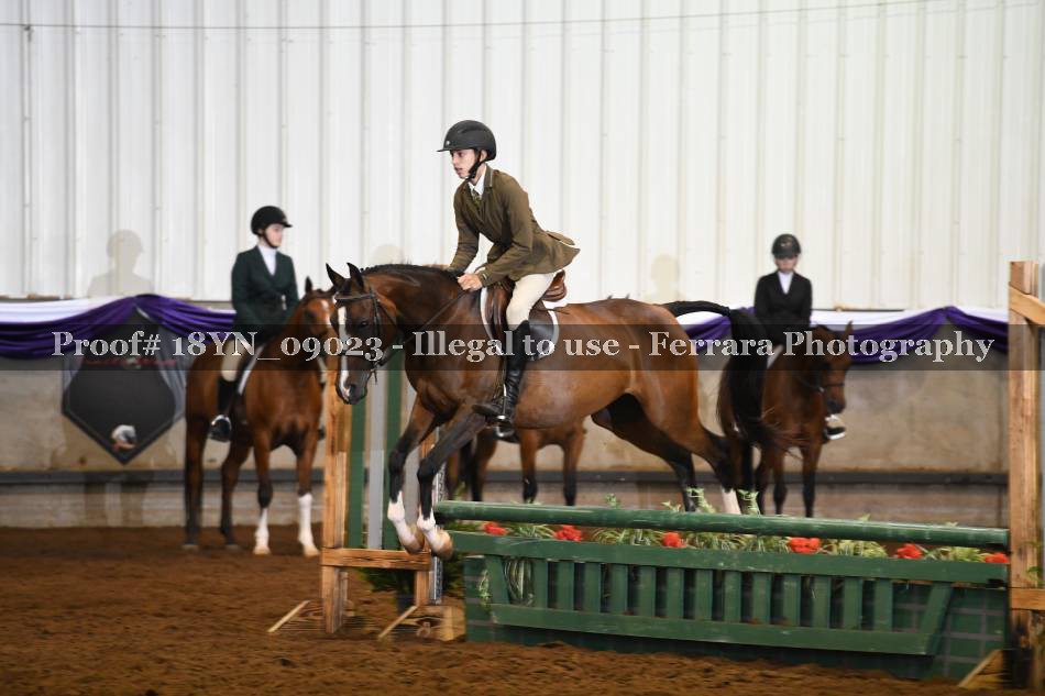 Proof 18YN_09023