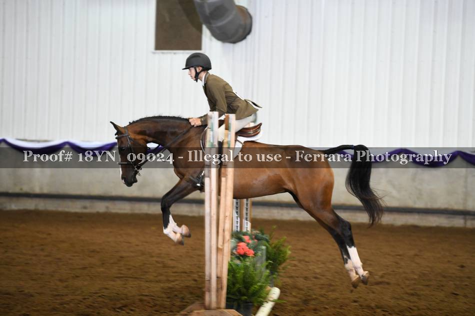Proof 18YN_09024