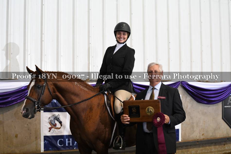 Proof 18YN_09027