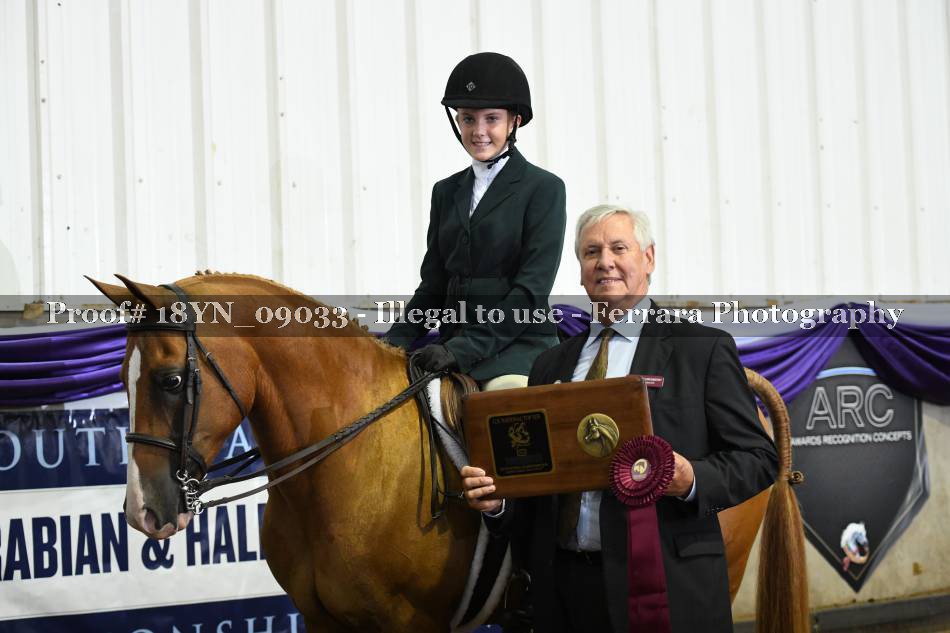 Proof 18YN_09033
