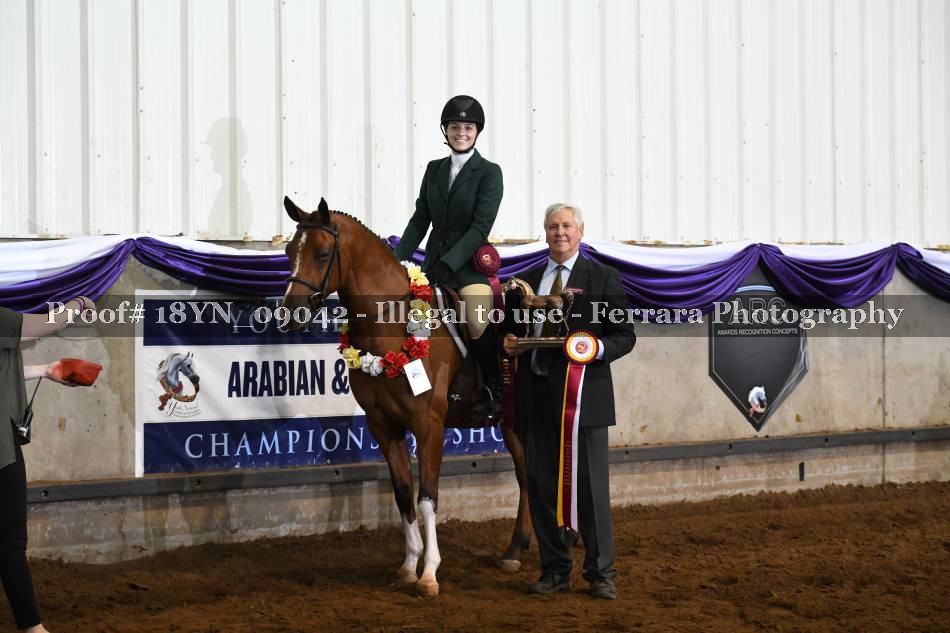 Proof 18YN_09042