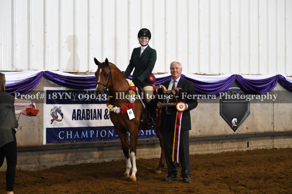 Proof 18YN_09043
