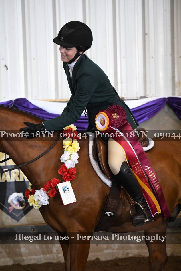 Proof 18YN_09044