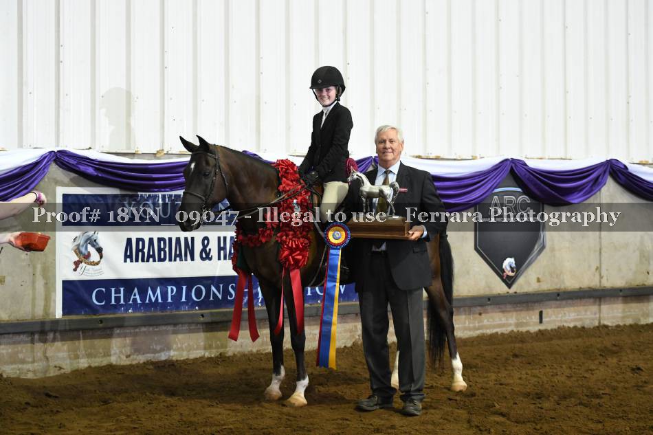 Proof 18YN_09047