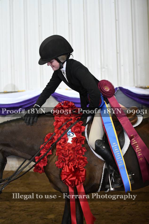 Proof 18YN_09051