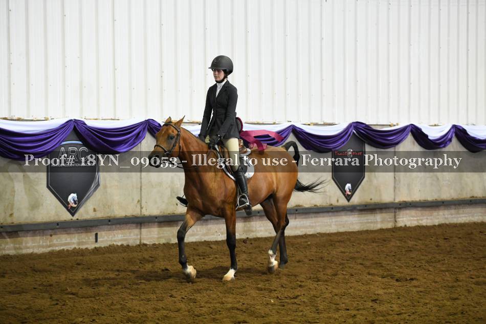 Proof 18YN_09053