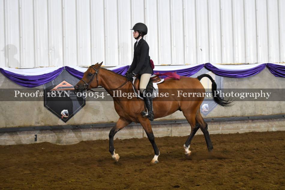Proof 18YN_09054