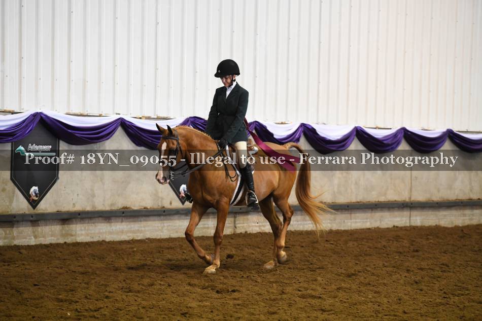 Proof 18YN_09055