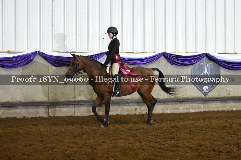Proof 18YN_09060