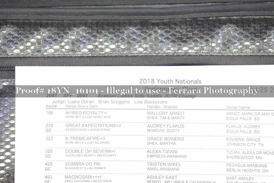 Proof 18YN_16101
