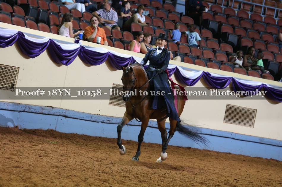 Proof 18YN_16158