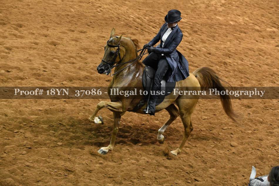 Proof 18YN_37086
