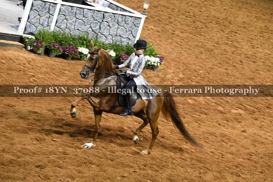Proof 18YN_37088