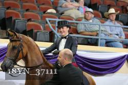 18YN_37111 proof