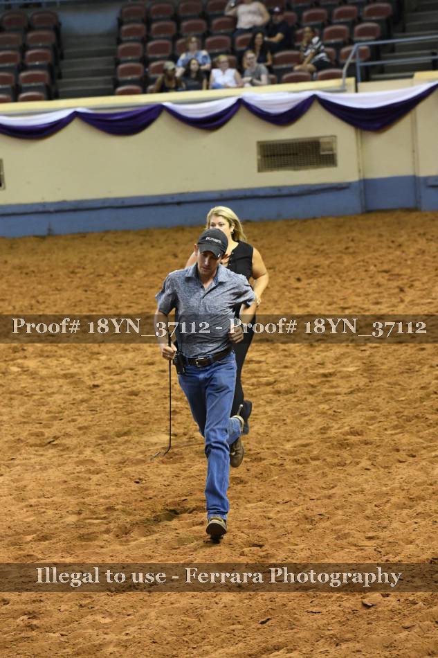 Proof 18YN_37112