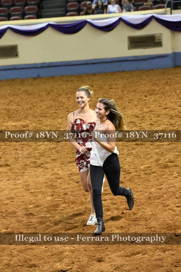 Proof 18YN_37116