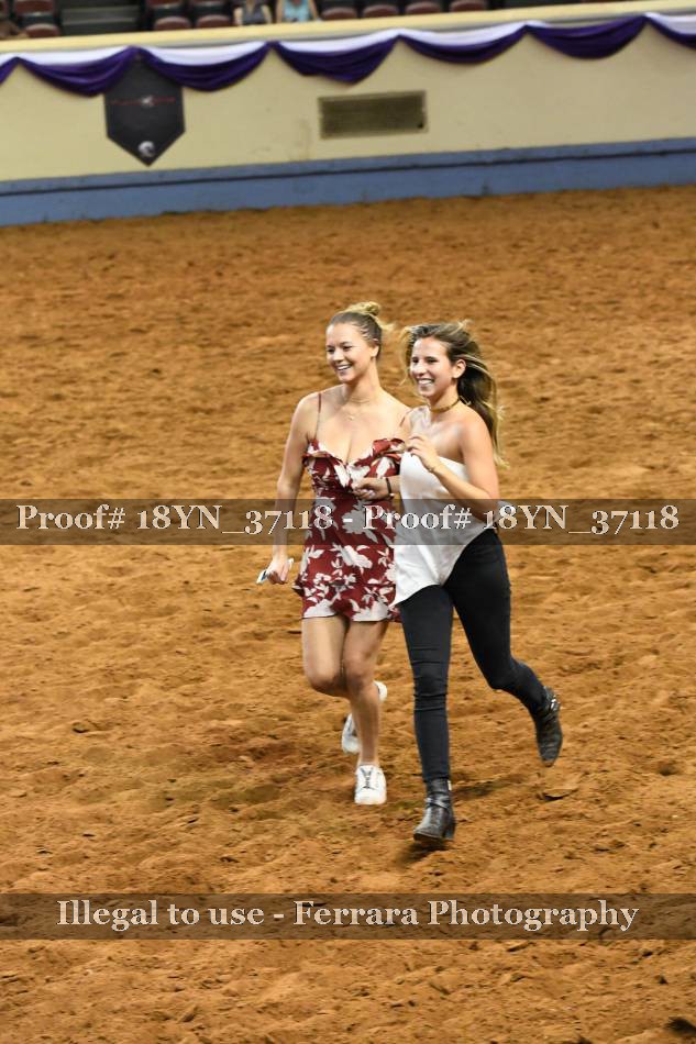 Proof 18YN_37118