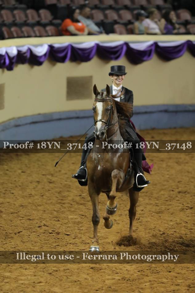 Proof 18YN_37148