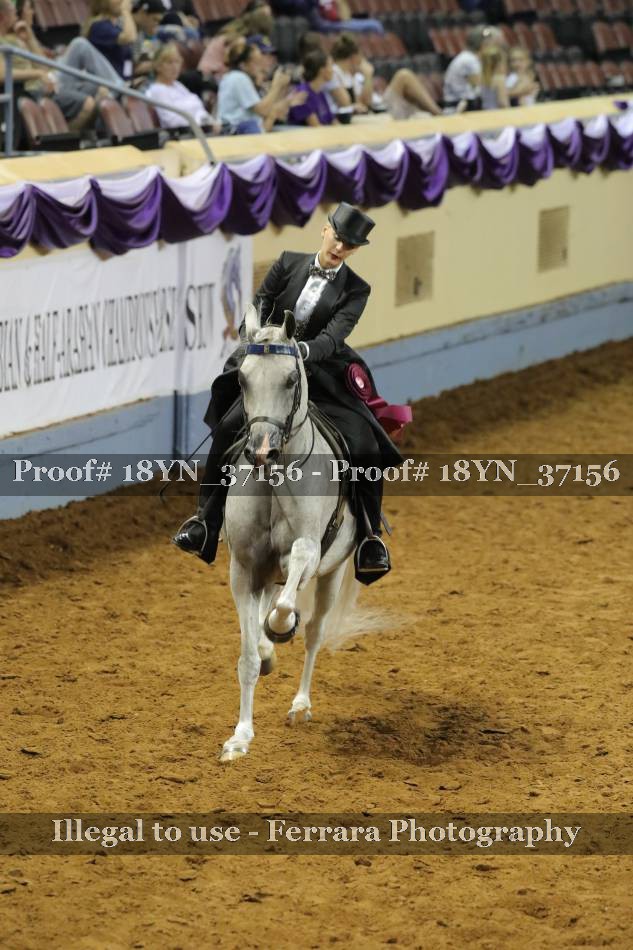 Proof 18YN_37156