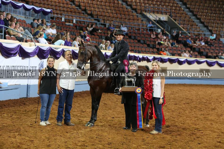 Proof 18YN_37158