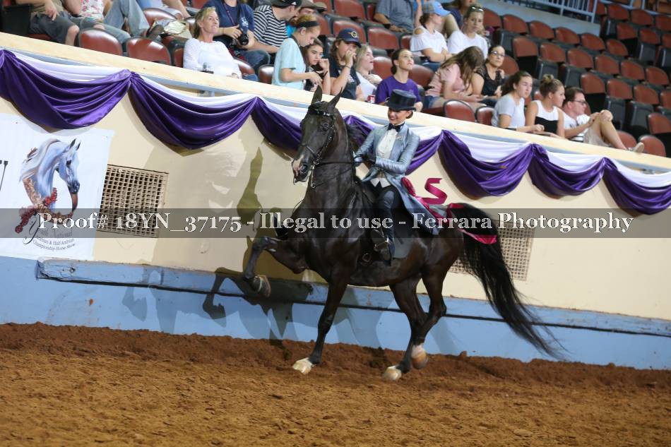 Proof 18YN_37175