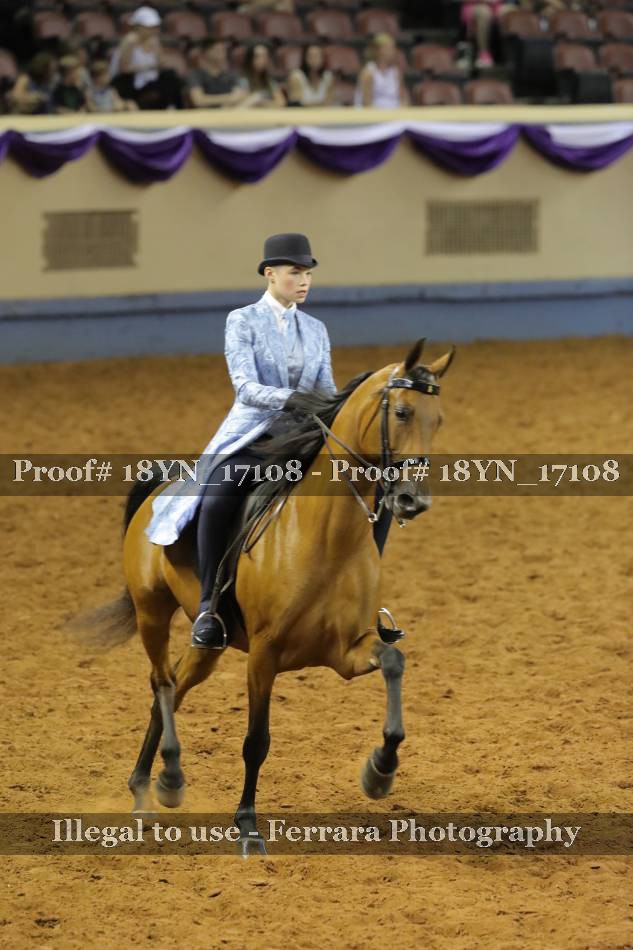 Proof 18YN_17108