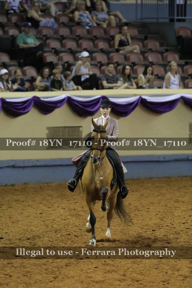 Proof 18YN_17110