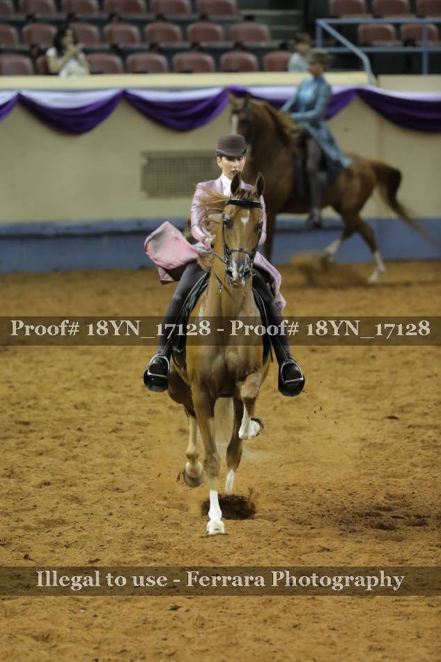 Proof 18YN_17128