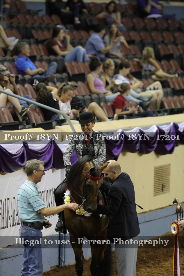 Proof 18YN_17201