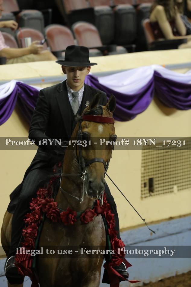 Proof 18YN_17231