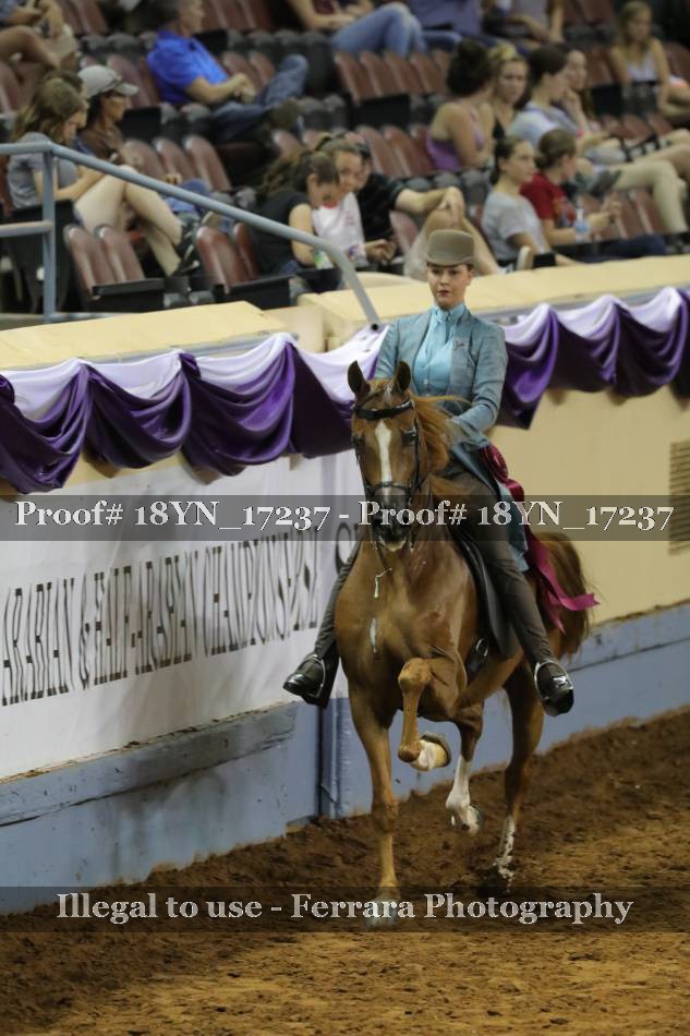 Proof 18YN_17237