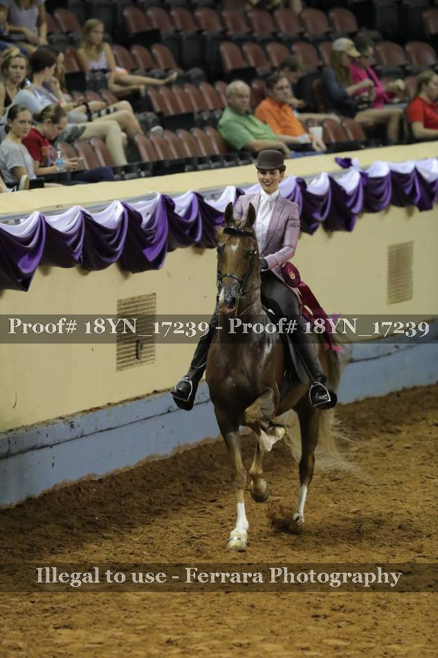 Proof 18YN_17239