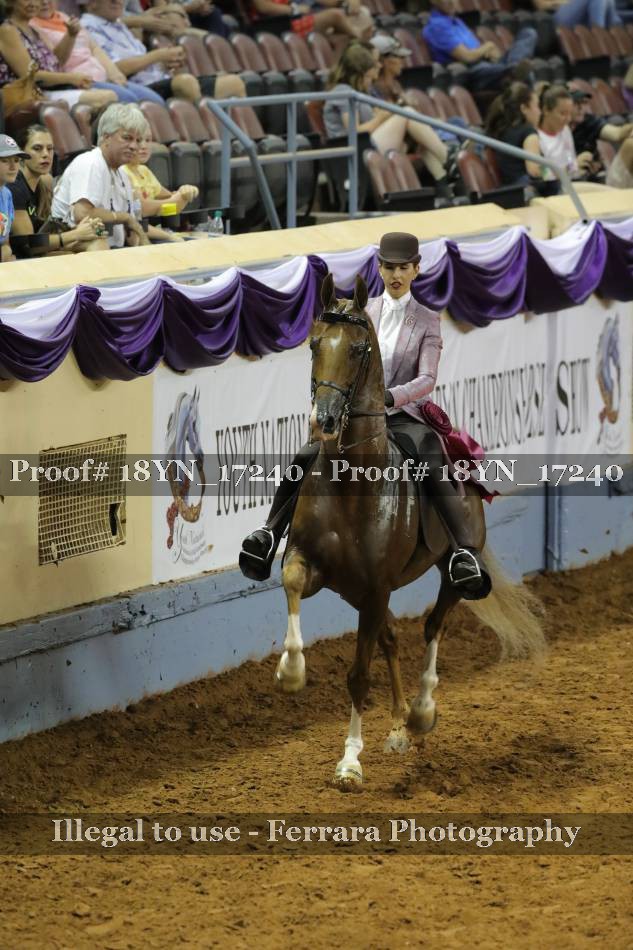 Proof 18YN_17240