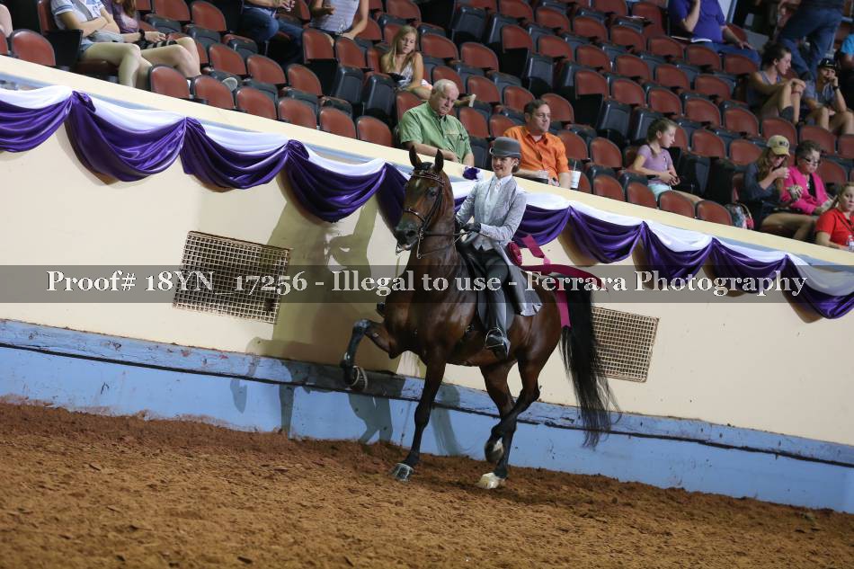 Proof 18YN_17256