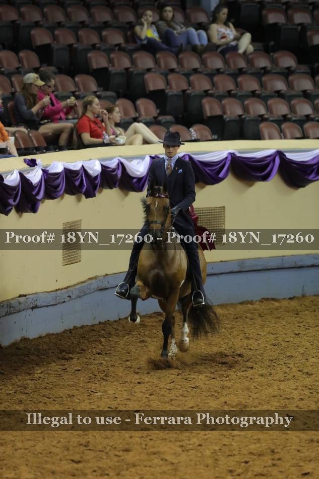 Proof 18YN_17260