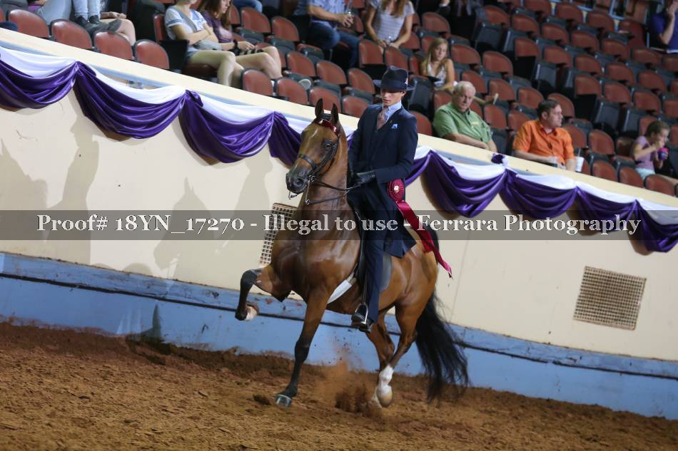 Proof 18YN_17270