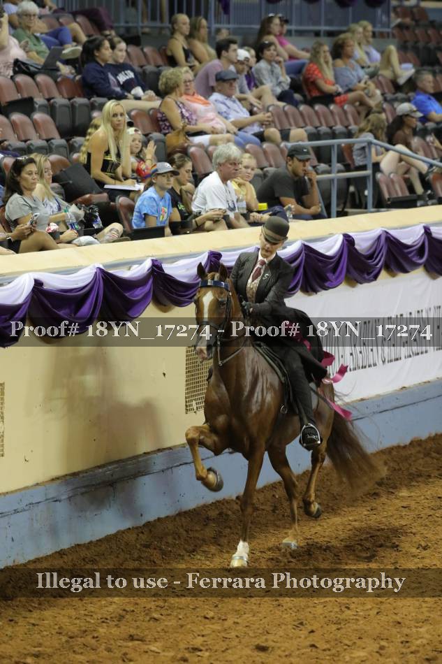 Proof 18YN_17274