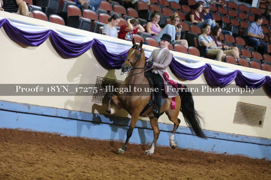 Proof 18YN_17275