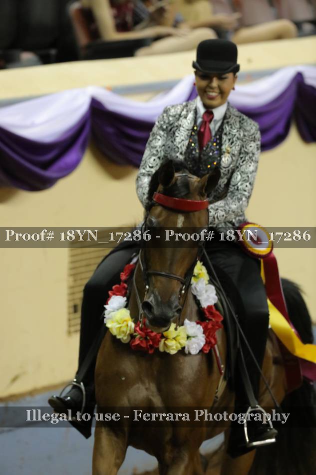 Proof 18YN_17286