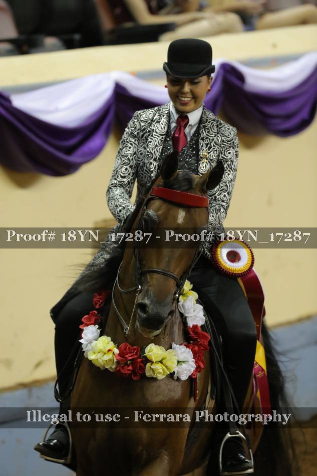 Proof 18YN_17287
