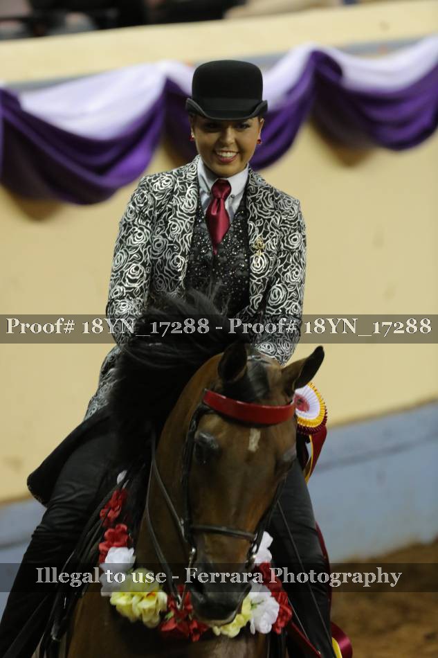 Proof 18YN_17288