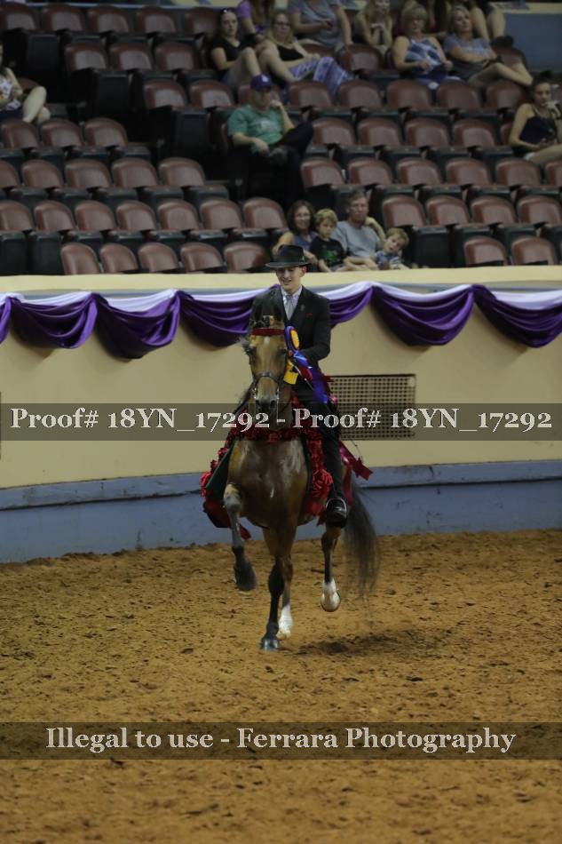 Proof 18YN_17292