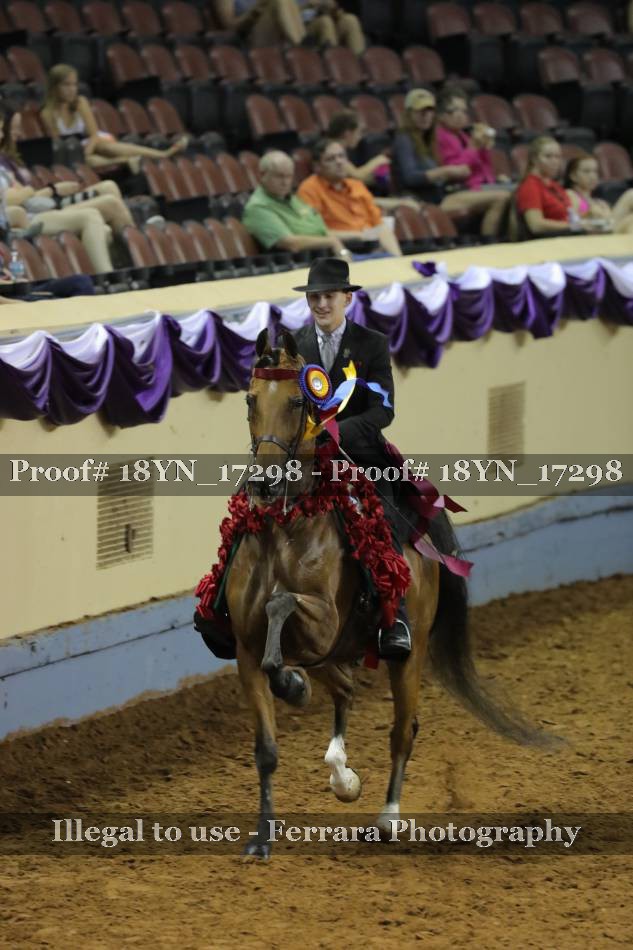 Proof 18YN_17298