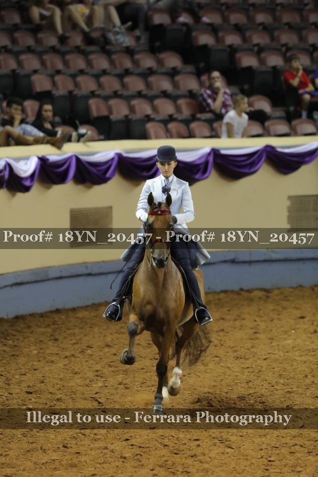 Proof 18YN_20457
