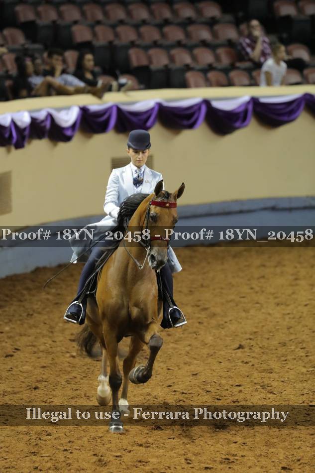 Proof 18YN_20458