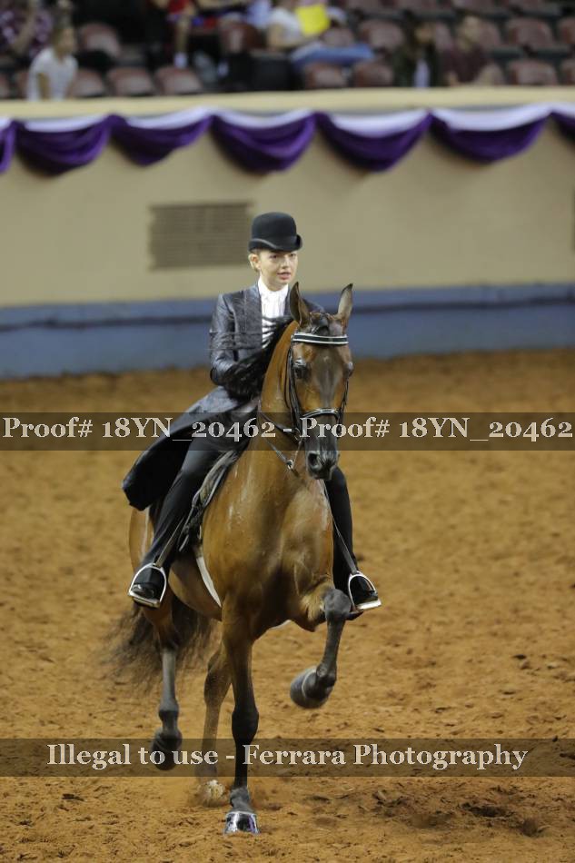 Proof 18YN_20462